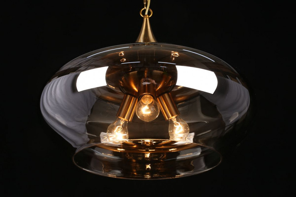 Подвесной светильник APLOYT Franko APL.601.16.03