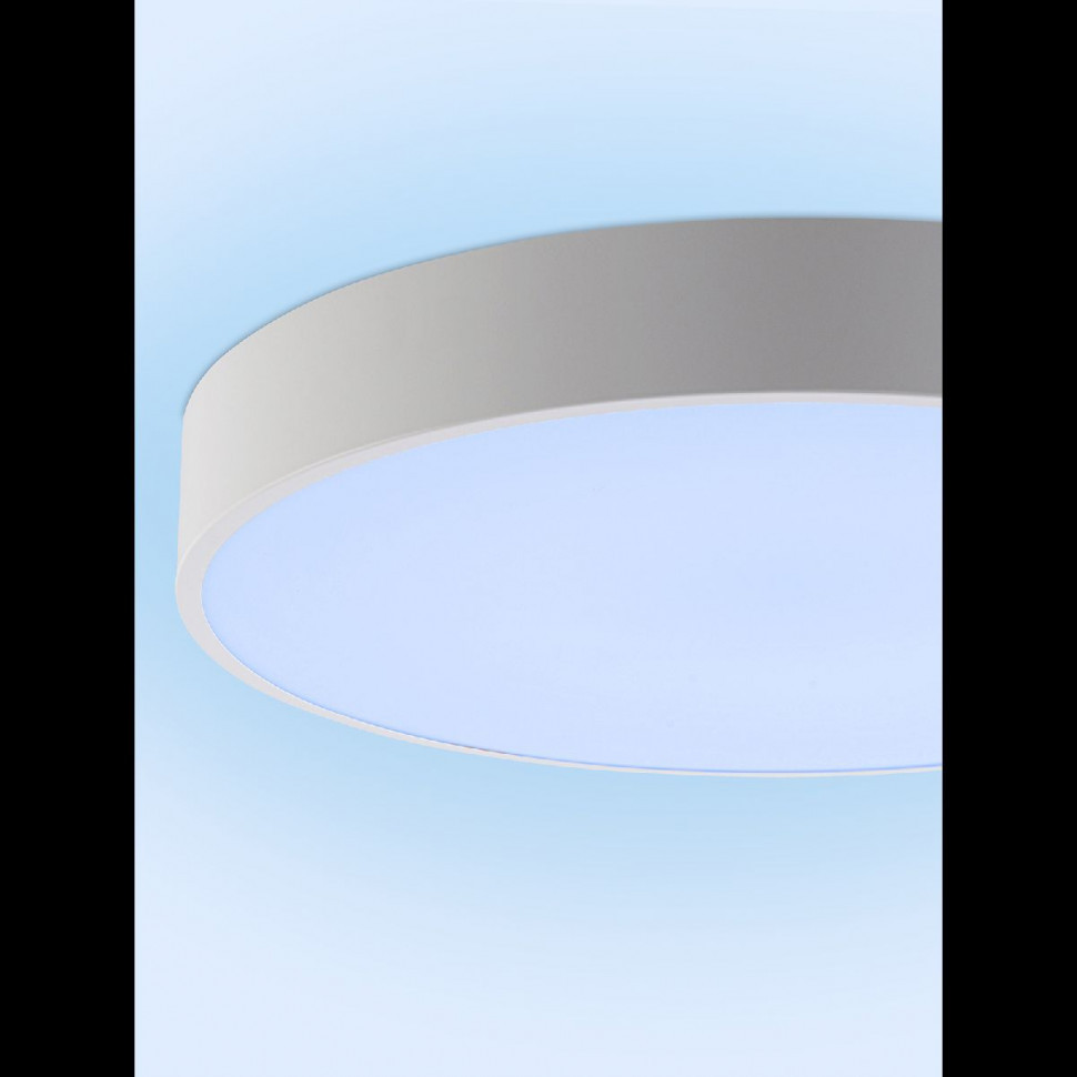 Потолочный светильник Natali Kovaltseva Modern LED LAMPS 81105/2C