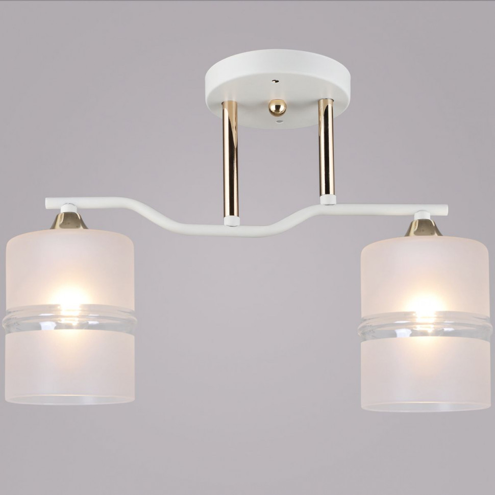 Потолочный светильник Reluce 02283-0.3-02 WT+FGD