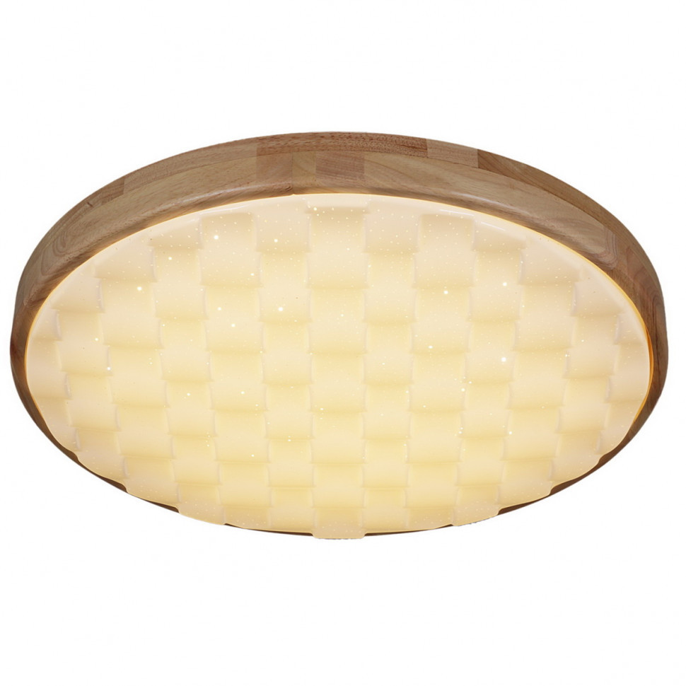 Потолочный светильник Reluce 60530-0.2-60W