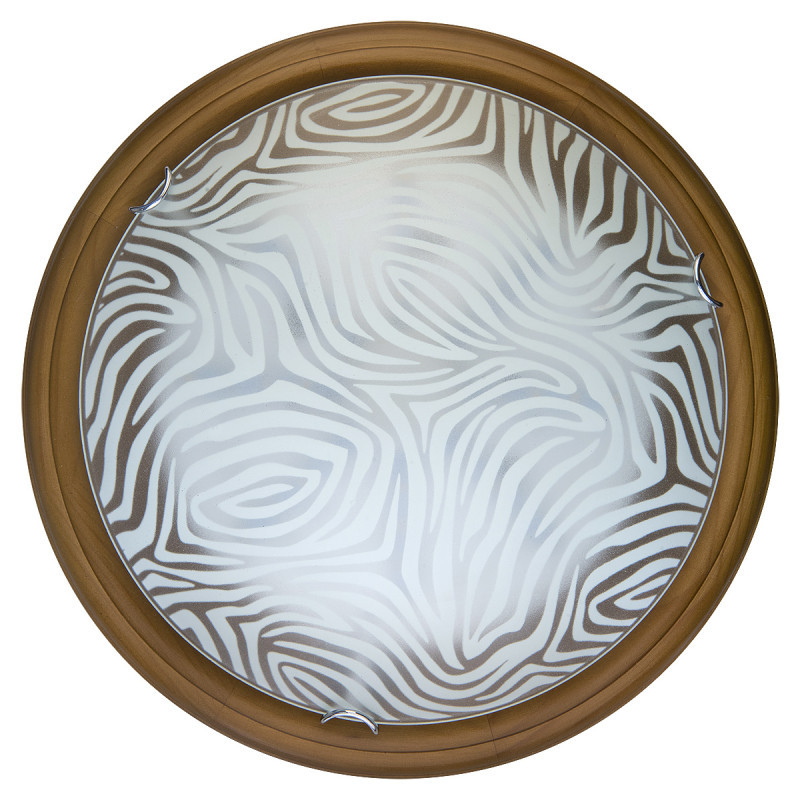 Настенно-потолочный светодиодный светильник Toplight Agatha TL9260Y-00OA