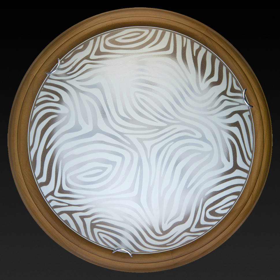 Настенно-потолочный светодиодный светильник Toplight Agatha TL9260Y-00OA