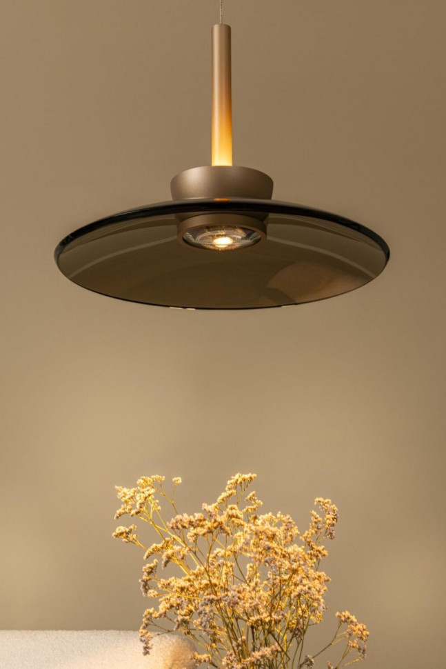 Подвесной светильник Lucide Santiago 23401/12/62