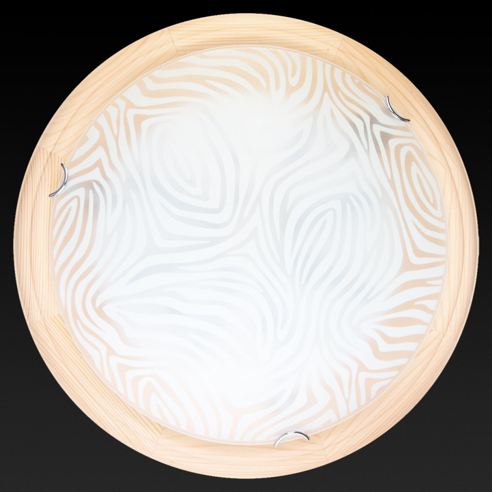 Настенно-потолочный светодиодный светильник Toplight Agatha TL9260Y-00PN