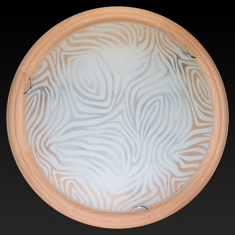 Настенно-потолочный светодиодный светильник Toplight Agatha TL9260Y-00PN