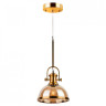 Подвесной светильник AM Group AM278-1GAB