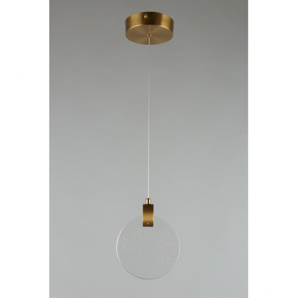 Подвесной светильник Aployt Frederik APL.054.06.05