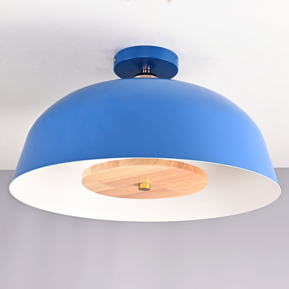 Потолочный светильник ImperiumLoft Globemi Blue 302741-26