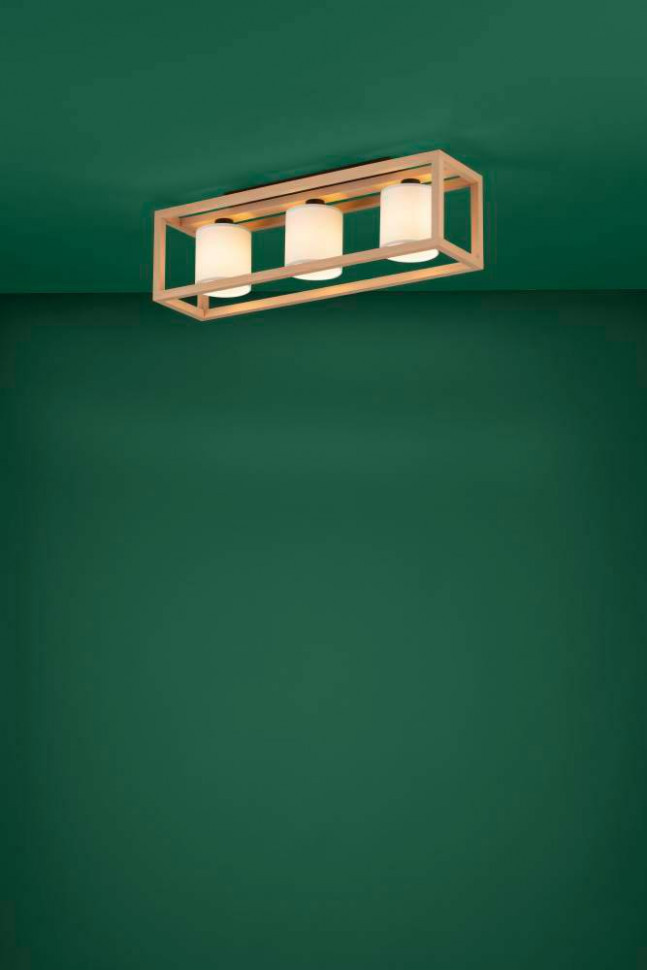 Потолочный светильник Eglo Granados 390098