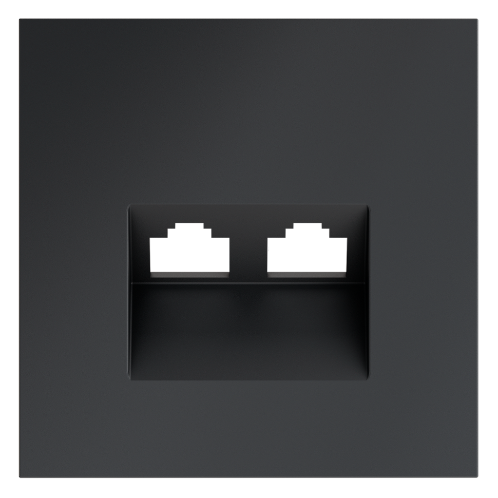 Накладка для розетки компьютерной двойной RJ45+RJ45 кат.6, S70 (графит)