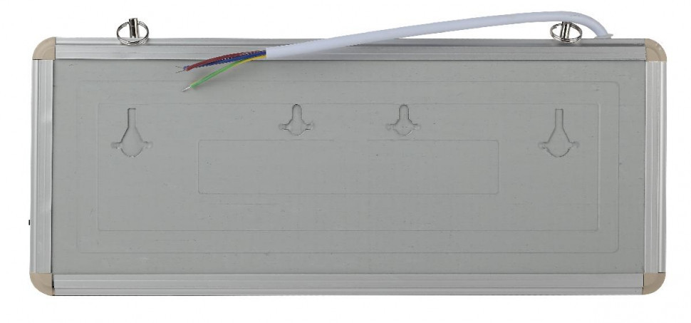 Аварийный светильник Эра SSA-101-1-20 Б0044388