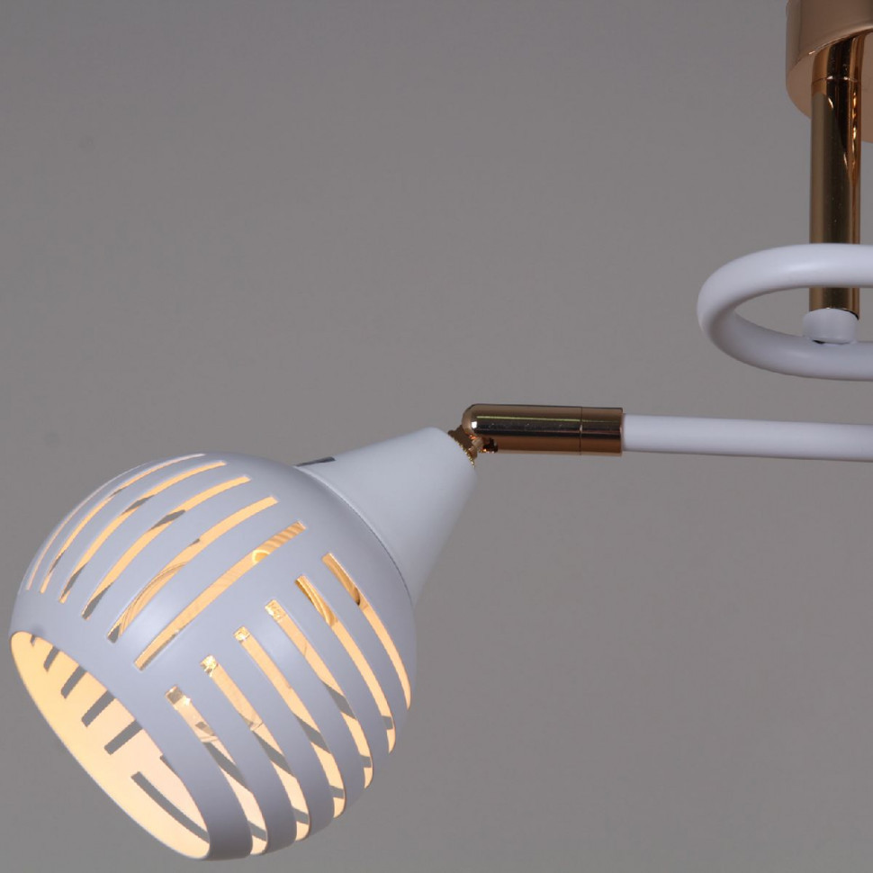 Потолочный светильник Reluce 70059-3.3-02 FG+WH