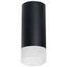 Накладной светильник Lightstar Rullo R648781 (216487+202481)