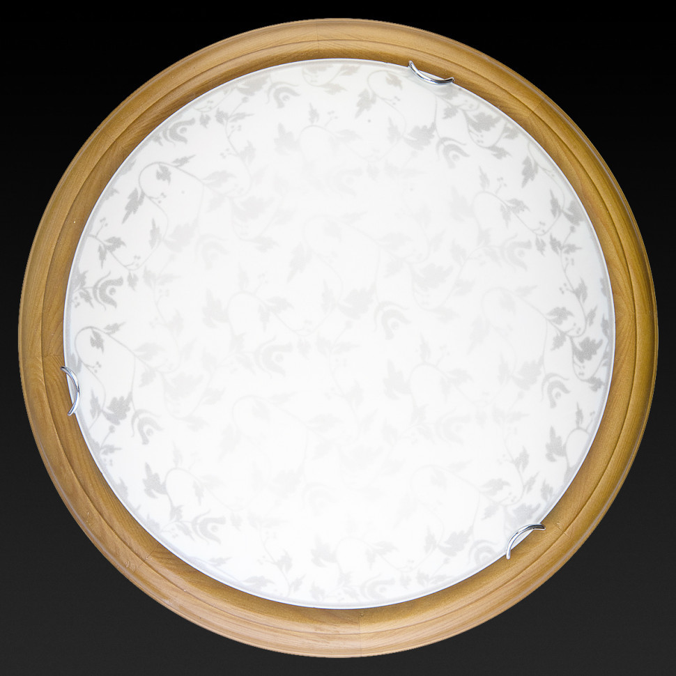 Настенно-потолочный светодиодный светильник Toplight Beatrice TL9280Y-00OA