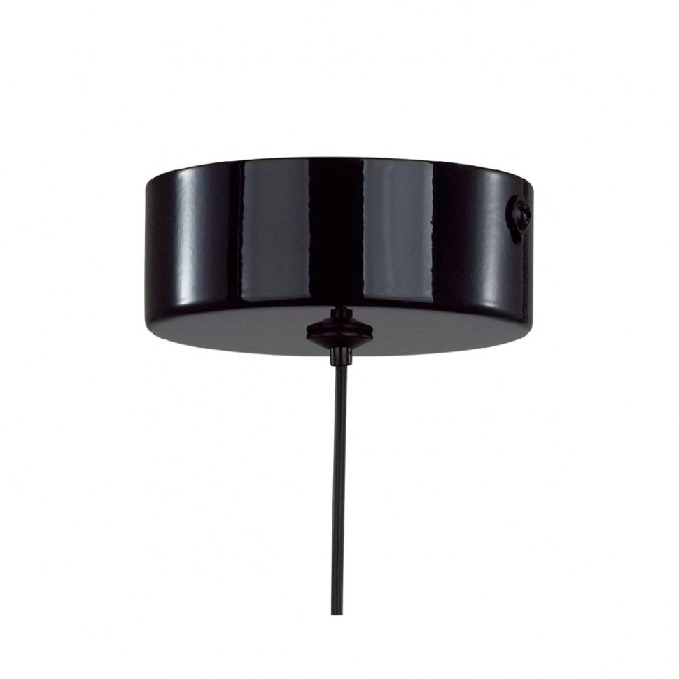 Подвесной светильник Lumion Globe 6568/6L