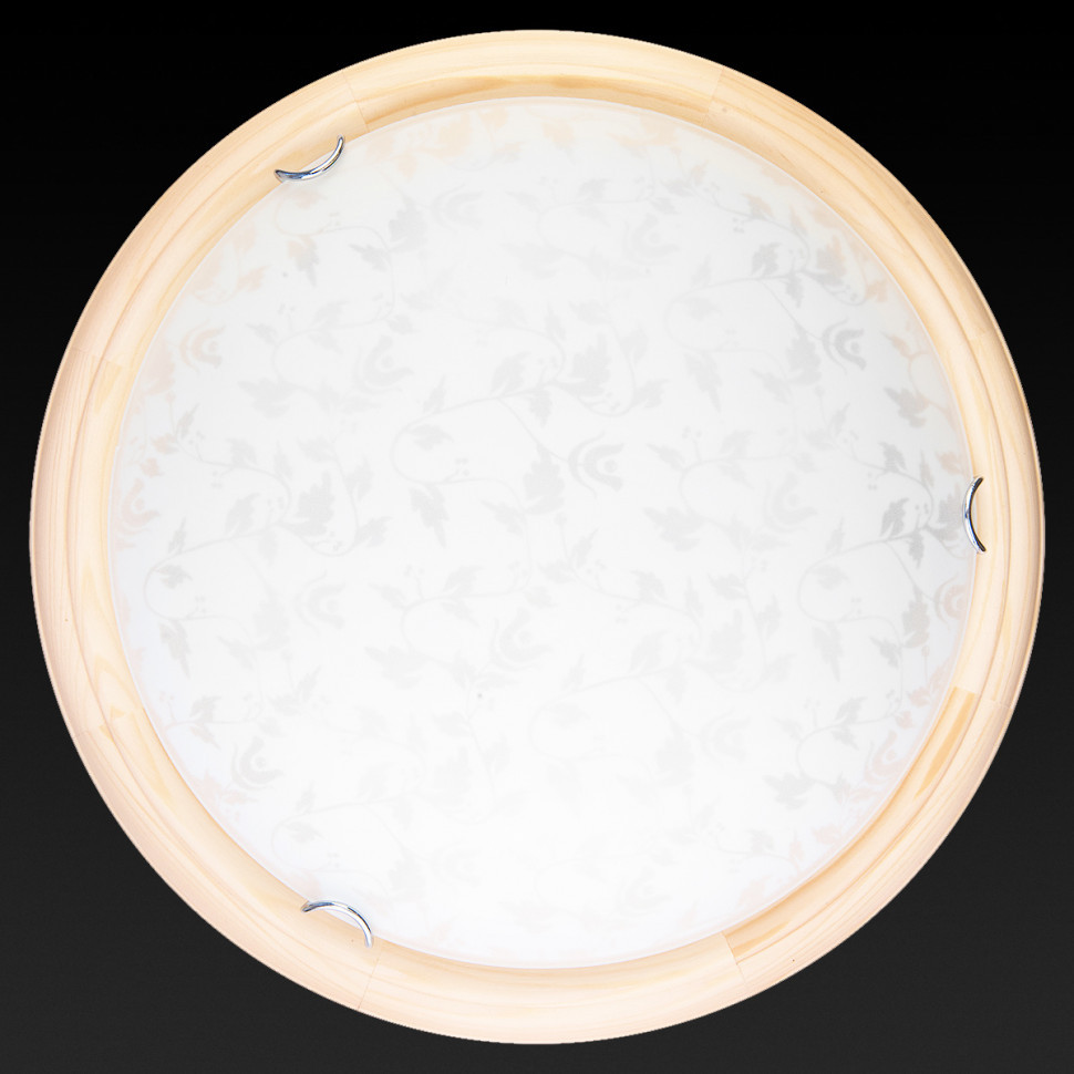 Настенно-потолочный светодиодный светильник Toplight Beatrice TL9280Y-00PN