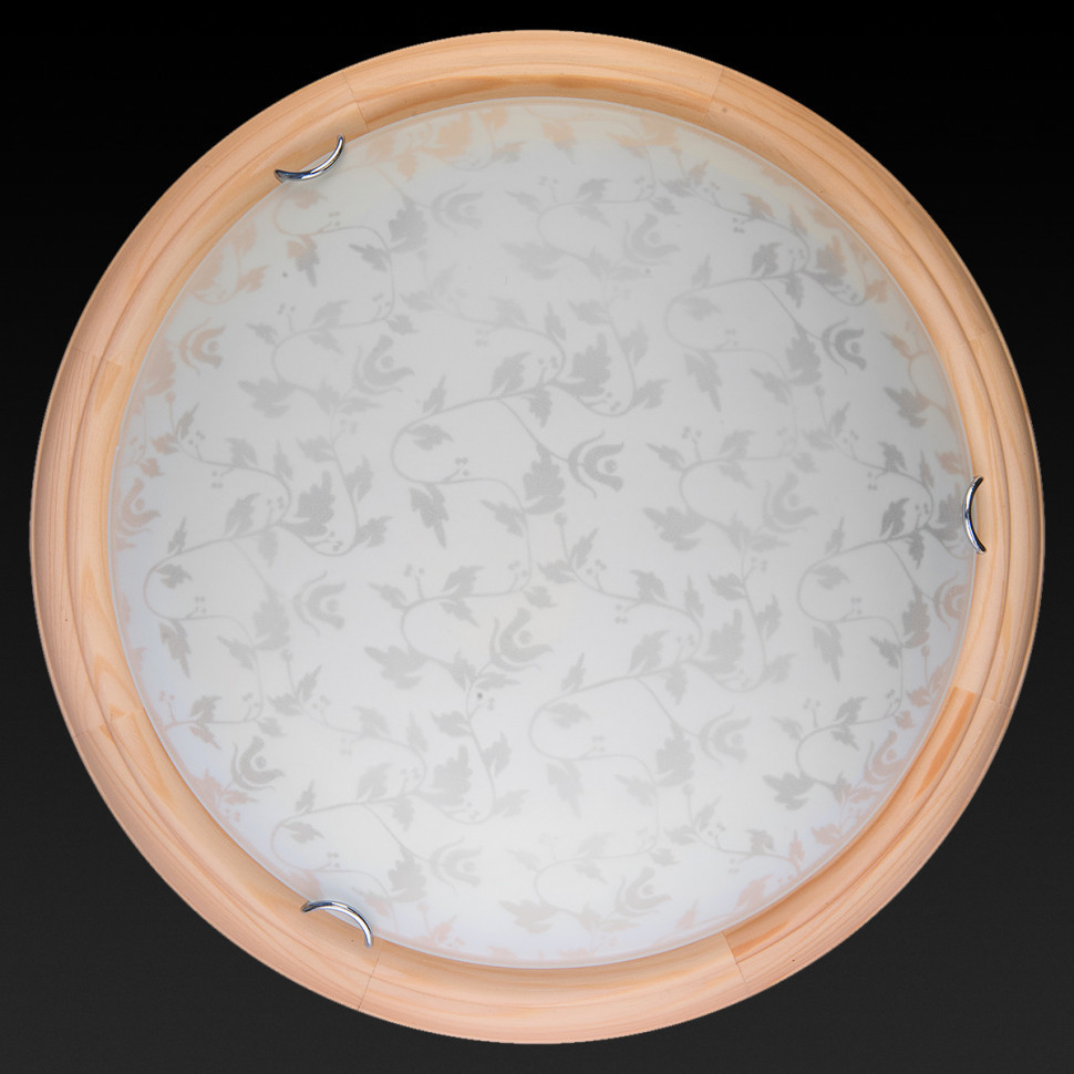 Настенно-потолочный светодиодный светильник Toplight Beatrice TL9280Y-00PN