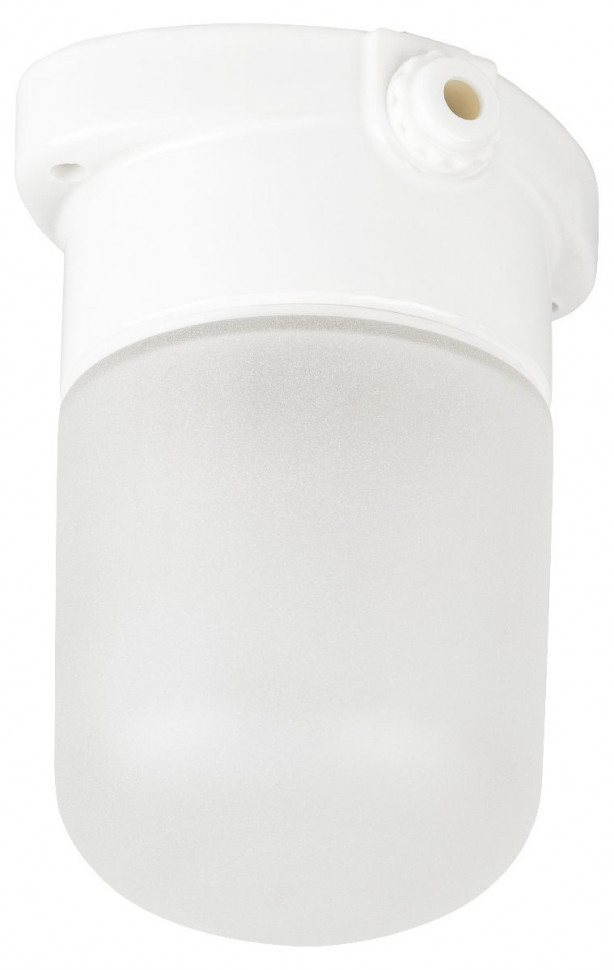 Настенно-потолочный светильник Эра НББ 02-60-001 Б0064005