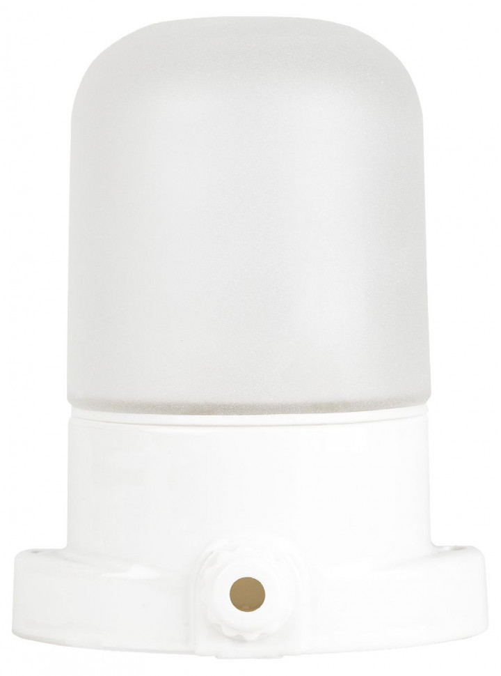 Настенно-потолочный светильник Эра НББ 02-60-001 Б0064005