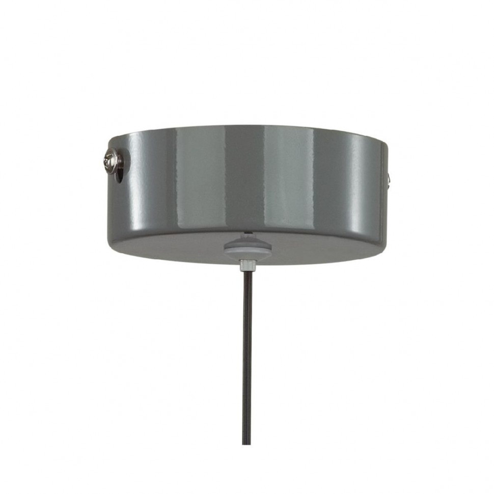 Подвесной светильник Lumion Globe 6569/6L