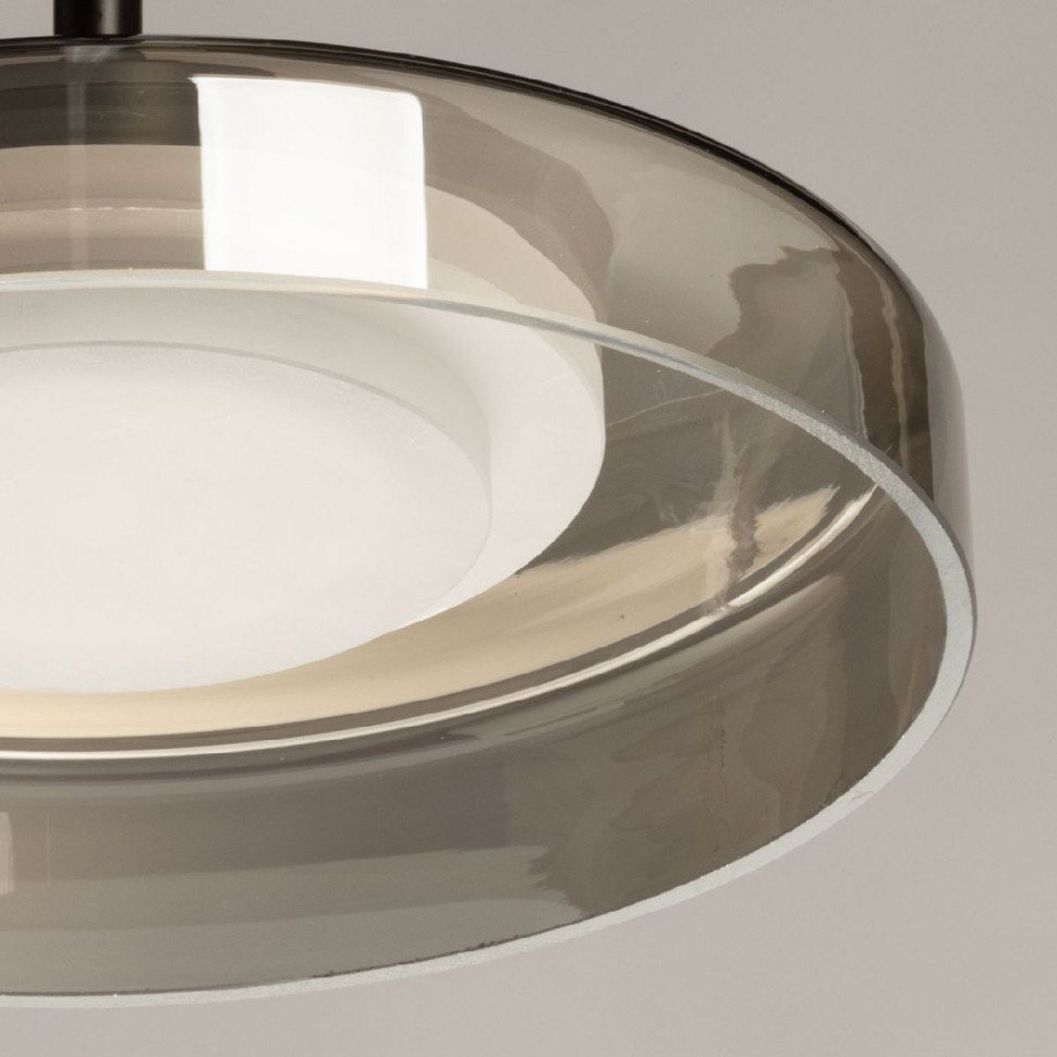 Подвесной светильник De Markt Стаут 702013501