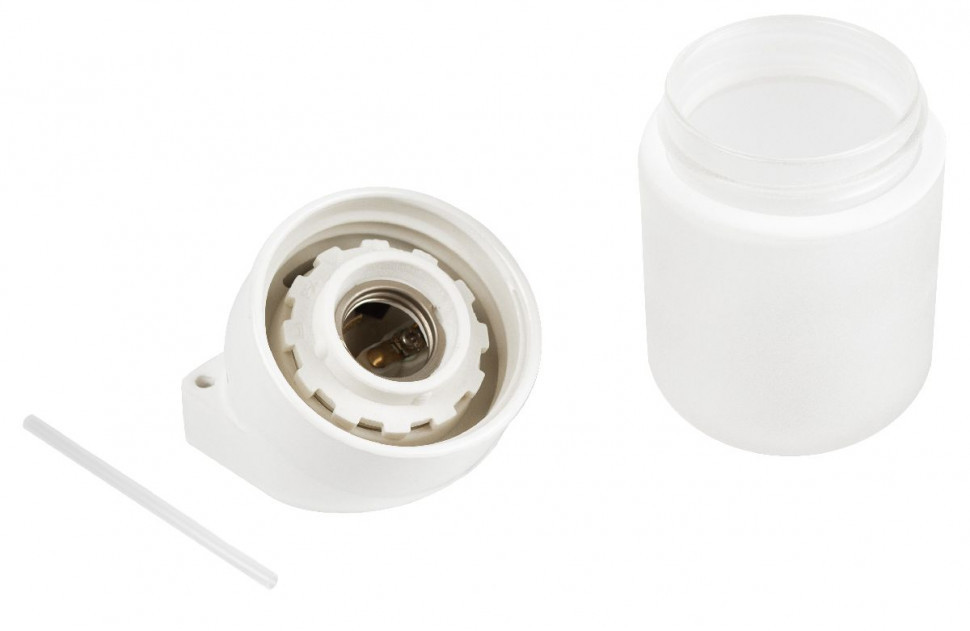 Настенно-потолочный светильник Эра НББ 02-60-002 Б0064018