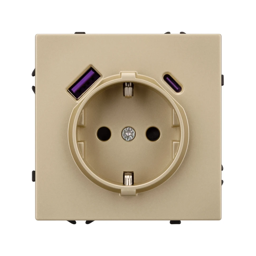 Розетка Schuko 250V 16A с USB-портом для зарядки Type A + Type C, с защитными шторками, 3,1А, 20W, NEO PLUS контакты винтовые 