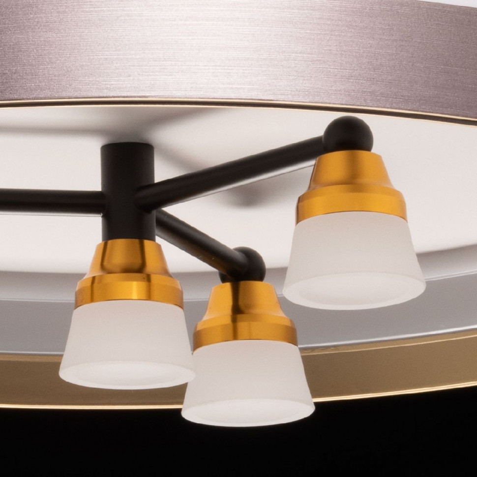 Потолочный светильник De Markt Норден 660014701