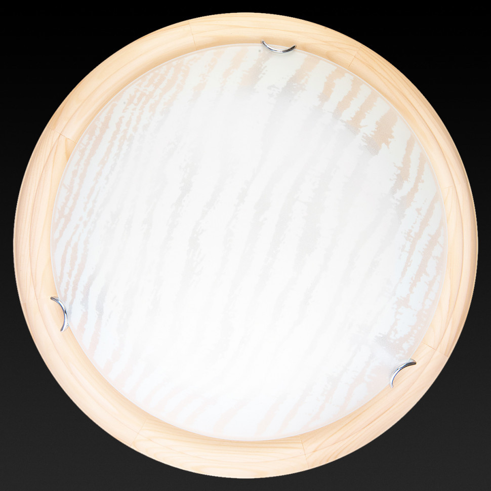 Настенно-потолочный светодиодный светильник Toplight Calista TL9490Y-00PN