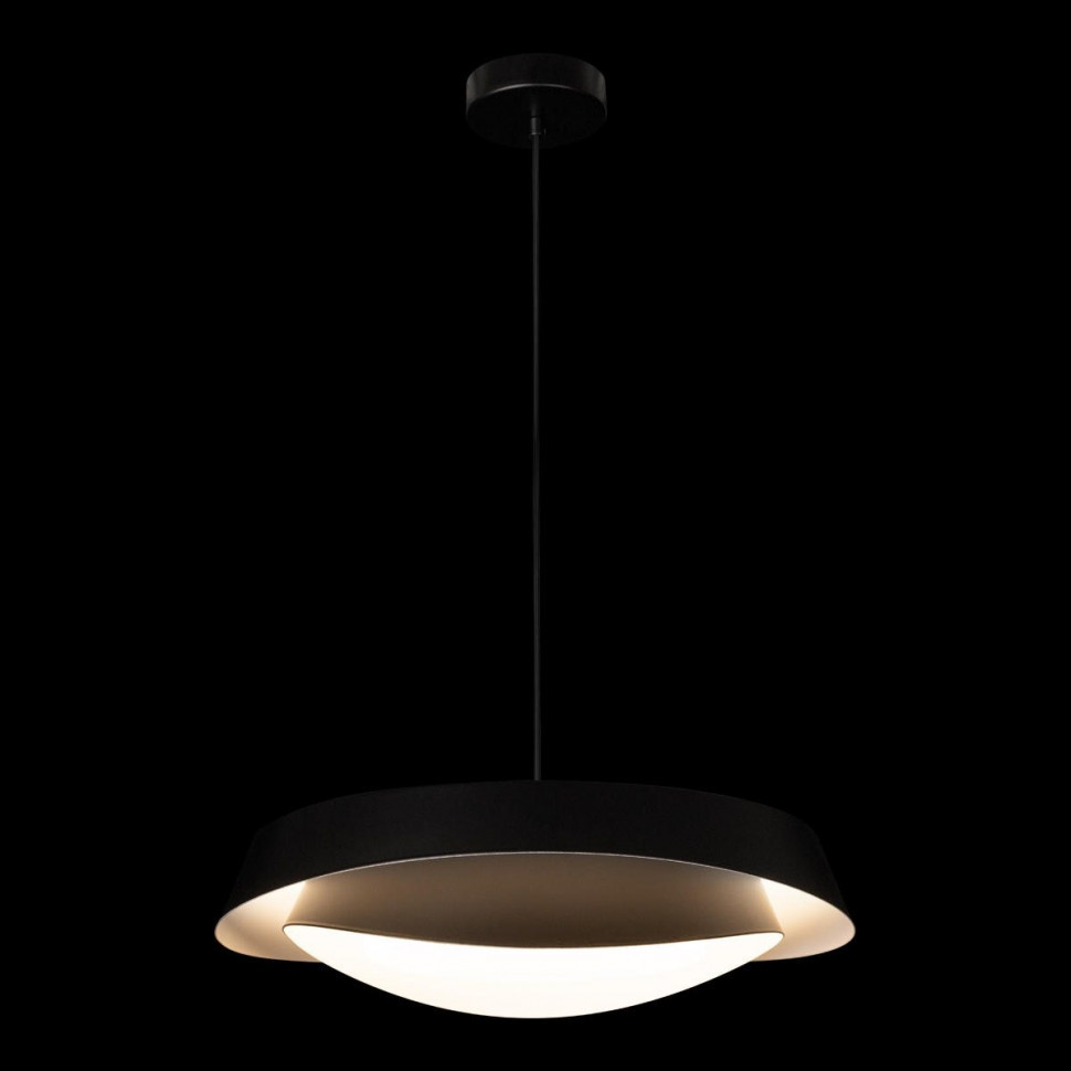 Подвесной светильник Loft IT Petale 10256P Black