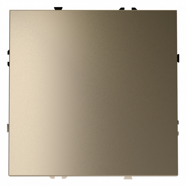 Заглушка пластмассовая, IP-20 (золото)  