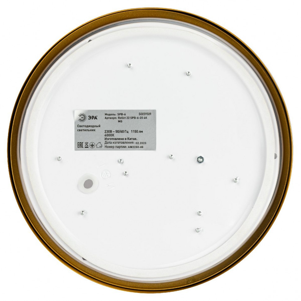 Потолочный светильник Эра Relict 22 SPB-6-20 4К MG Б0059509