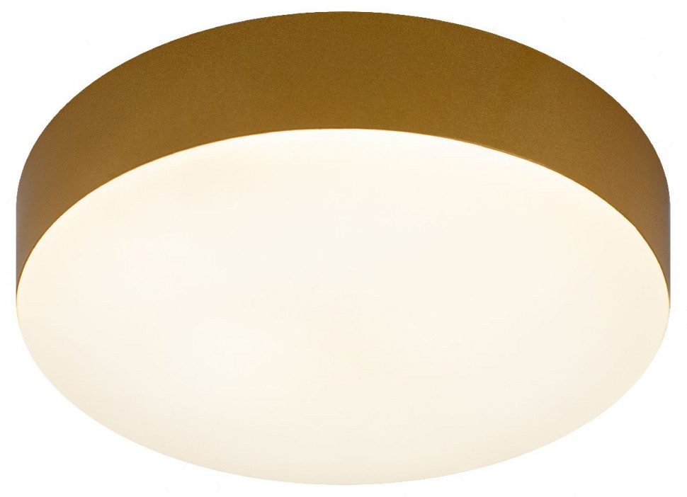 Потолочный светильник Эра Relict 22 SPB-6-20 4К MG Б0059509