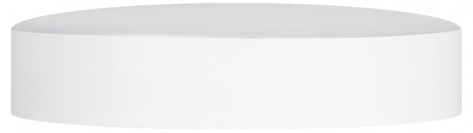 Потолочный светильник Эра Relict 22 SPB-6-20 4К WH Б0059507