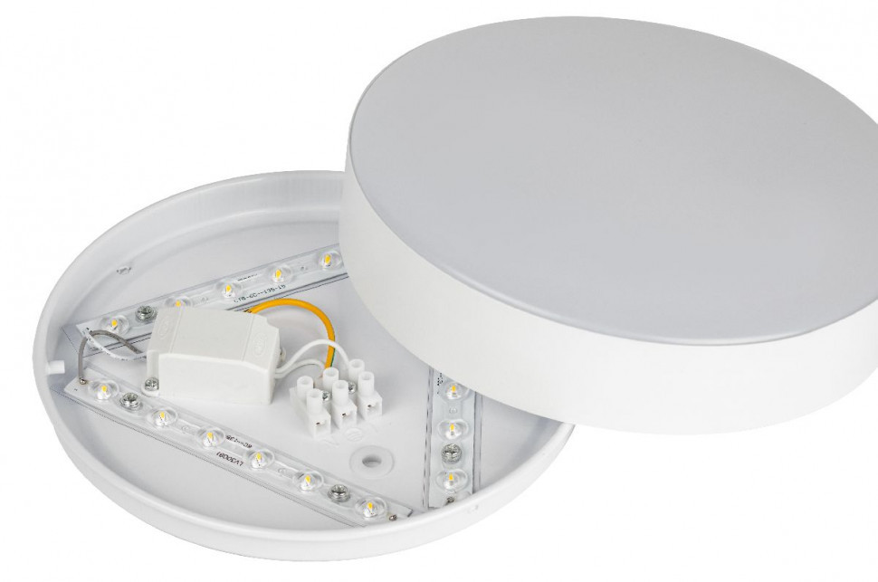 Потолочный светильник Эра Relict 22 SPB-6-20 4К WH Б0059507