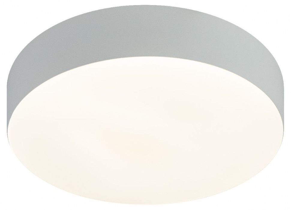 Потолочный светильник Эра Relict 22 SPB-6-20 4К WH Б0059507