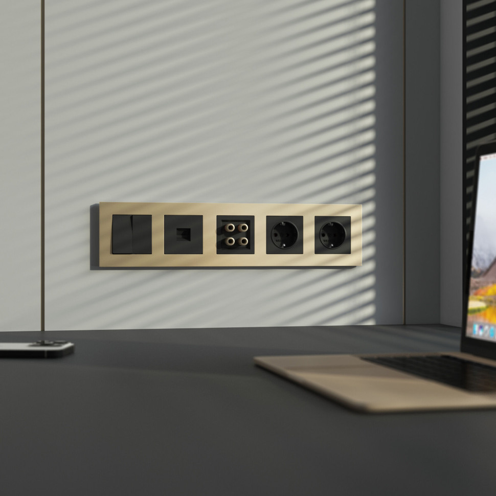 Розетка с заземлением (черный матовый) W1171008