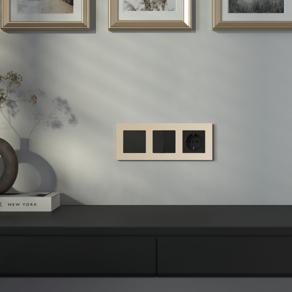 Розетка с заземлением (черный матовый) W1171008