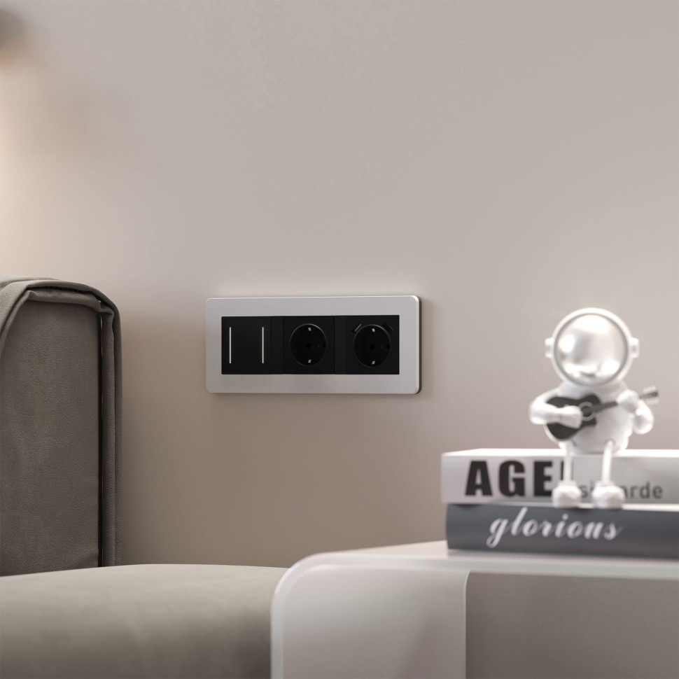 Розетка с заземлением (черный матовый) W1171008