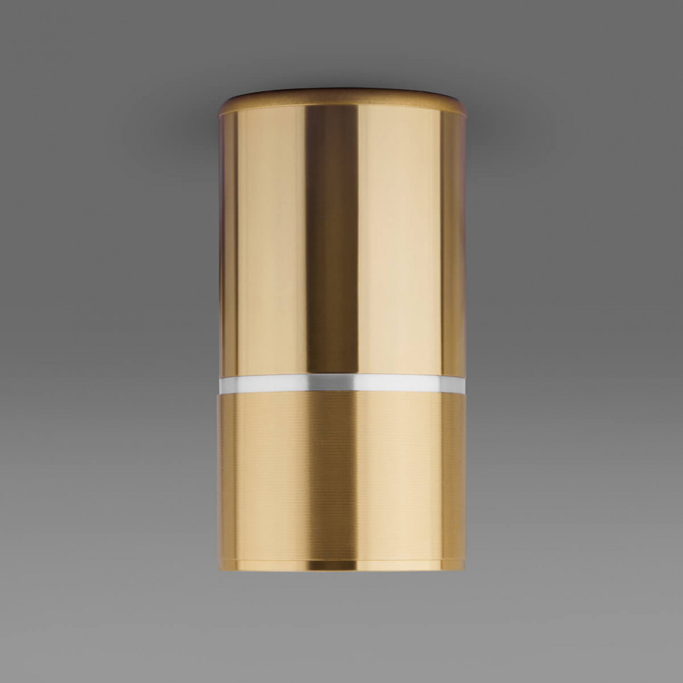 Потолочный светильник Elektrostandard DLN106 GU10 золото 4690389148613