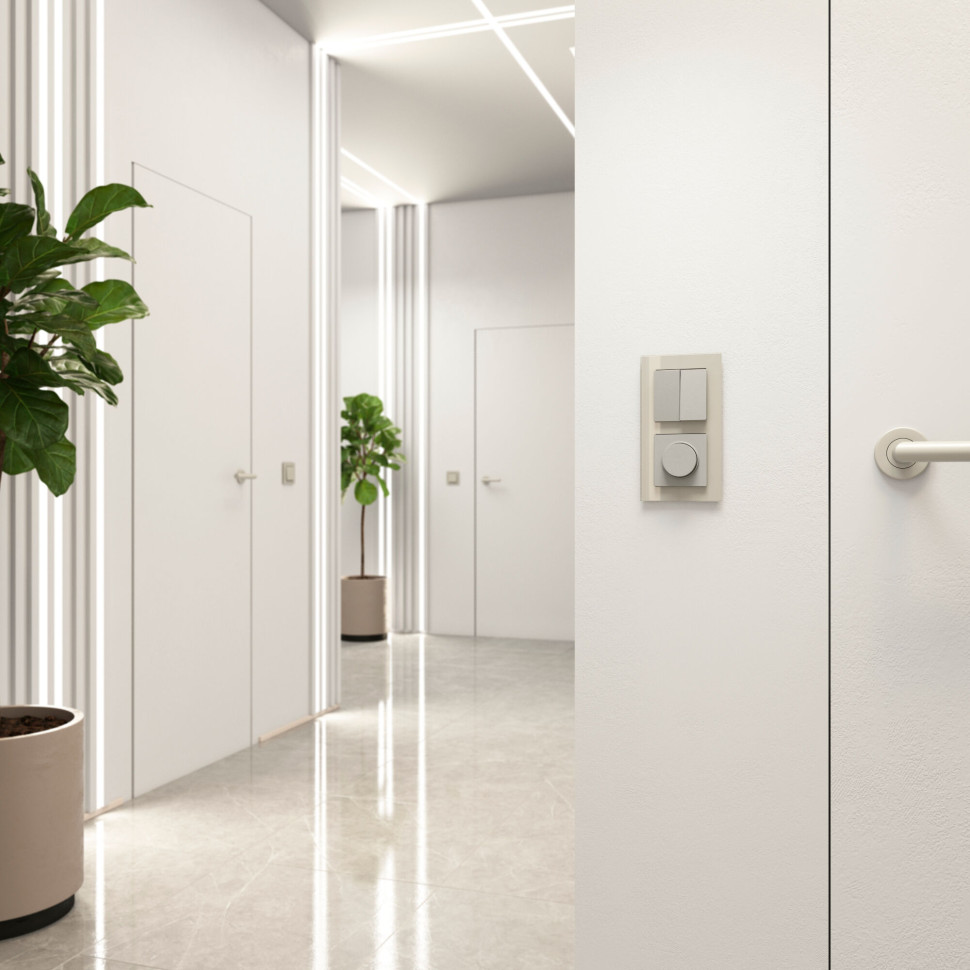 Выключатель двухклавишный проходной (дымчатый) W1222004