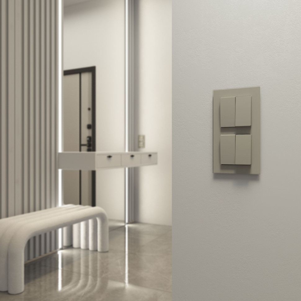 Выключатель двухклавишный проходной (дымчатый) W1222004