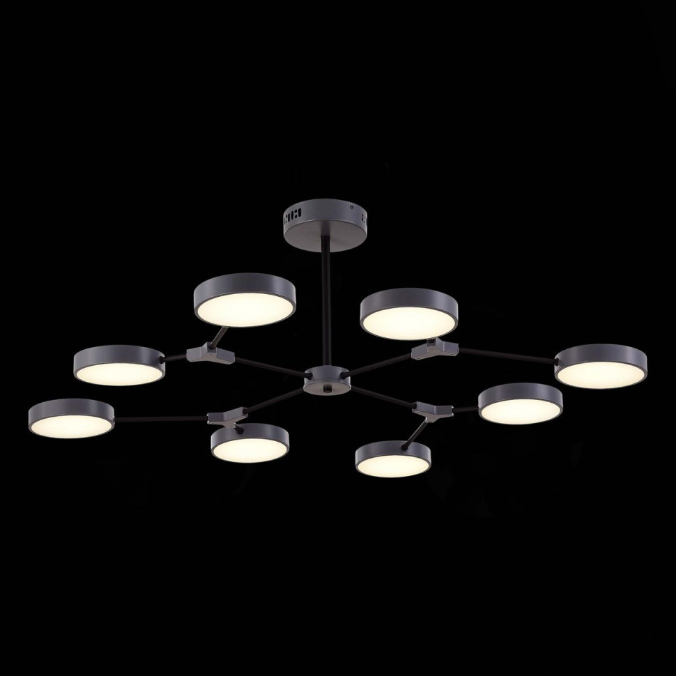 Потолочный светильник Evoluce Monta SLE6003-702-08