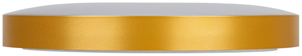 Потолочный светильник Эра Relict 38 SPB-6-40 4К MG Б0059506