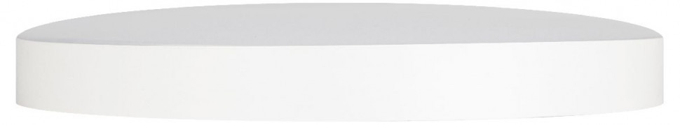 Потолочный светильник Эра Relict 38 SPB-6-40 4К WH Б0059504