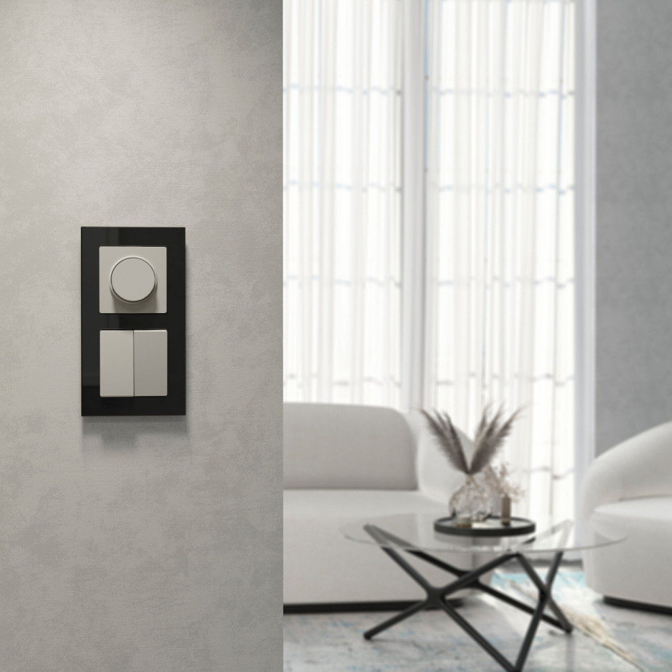 Выключатель двухклавишный (дымчатый) W1220004