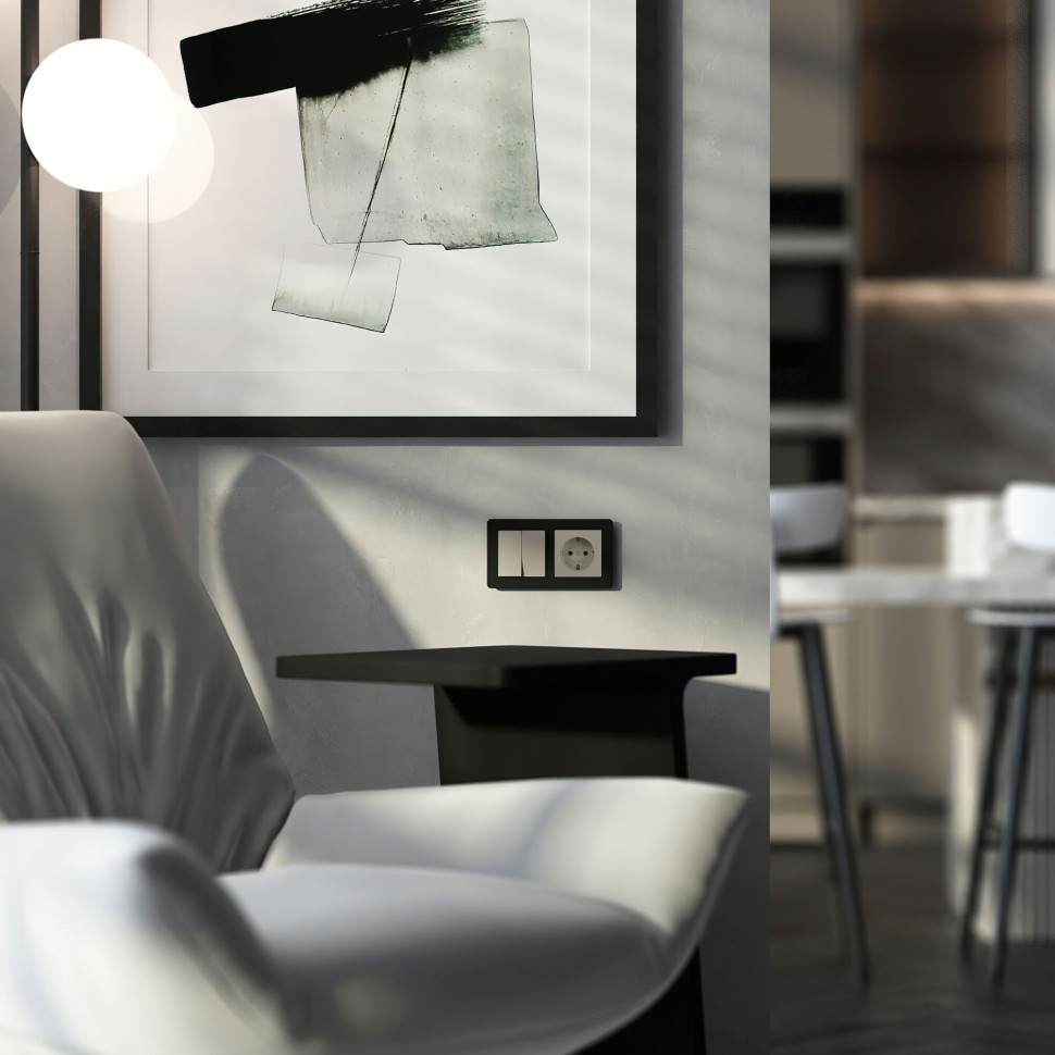 Выключатель двухклавишный (дымчатый) W1220004