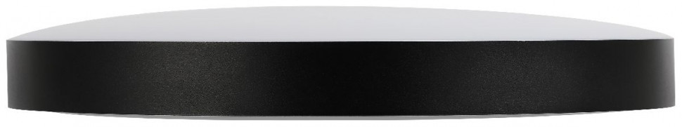 Потолочный светильник Эра Relict 48 Pult SPB-6-60-RC BK Б0059497