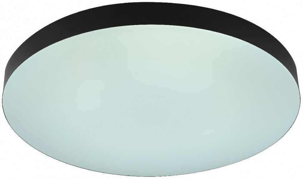 Потолочный светильник Эра Relict 48 Pult SPB-6-60-RC BK Б0059497