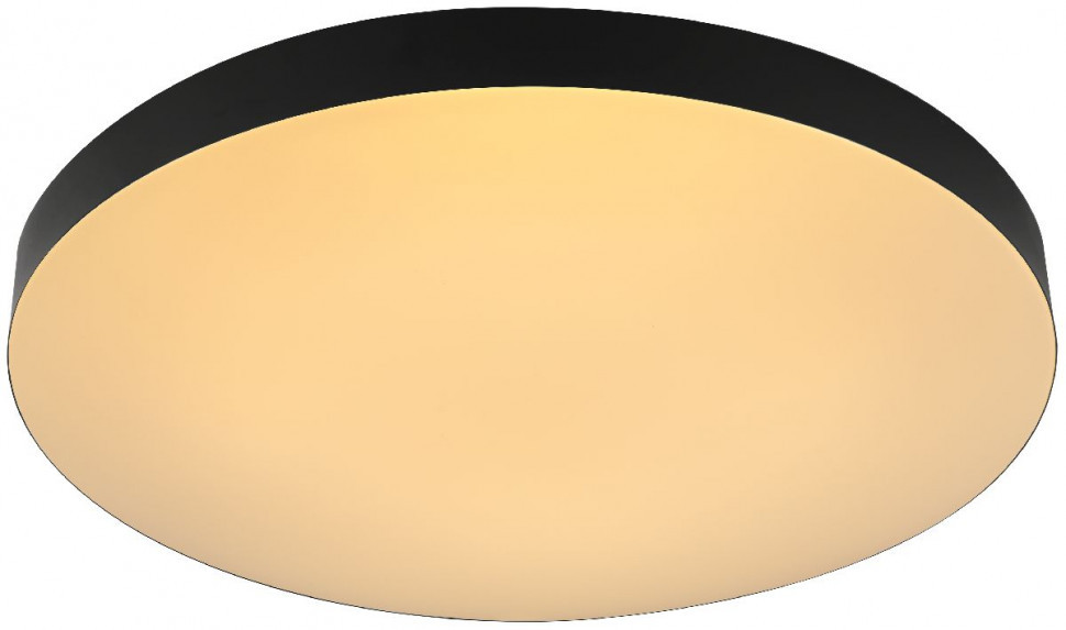 Потолочный светильник Эра Relict 48 Pult SPB-6-60-RC BK Б0059497